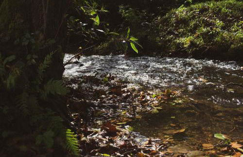 agroturismo Araize - Foto 47