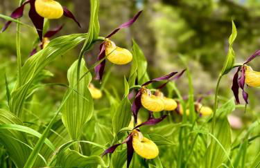 Casa Bagatin - Photo 25