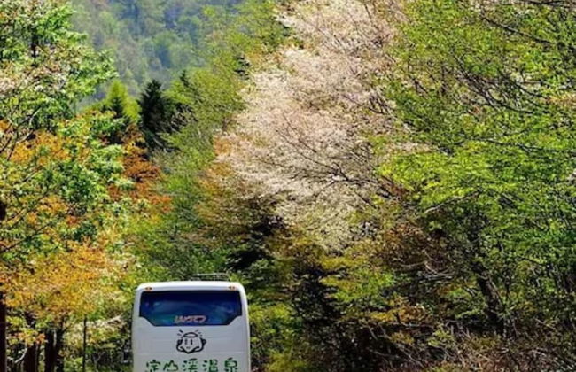 Few Days Condominium Jozankei - Foto 67