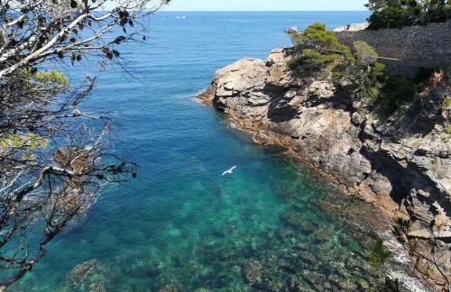 Domus Aurea - Foto 21