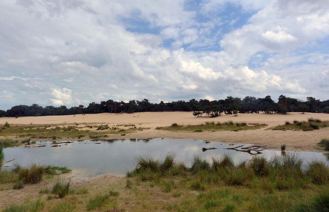 Chalet Near Drunense Dunes in Van Gogh Style - Photo 39