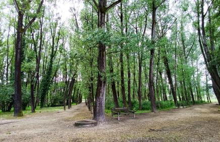 Orion Guest Villa Casais - Foto 58