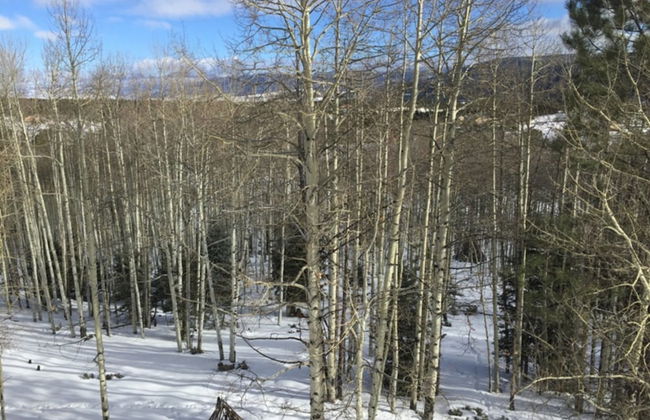 Cabin Share Phase 2 - Foto 23