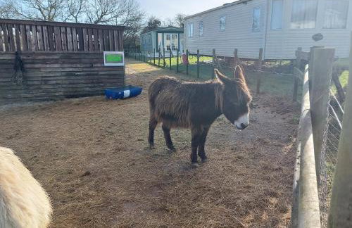 Gateway to Cornwall - Foto 2