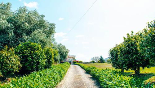 Just Like Home - Casa do Rosmaninho - Foto 3