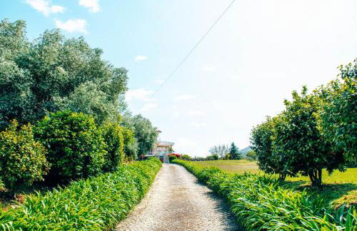 Just Like Home - Casa do Rosmaninho - Foto 3