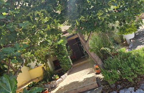 Apartmani Sanja - Foto 20