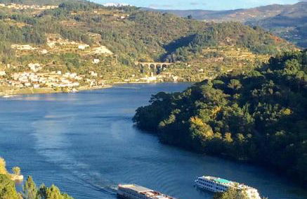 Pedacinho de Mundo Douro - Foto 26