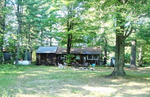 Secluded Rustic Cabin Rental Inside Manistee National Forest in Brethren, Michigan - Foto 1