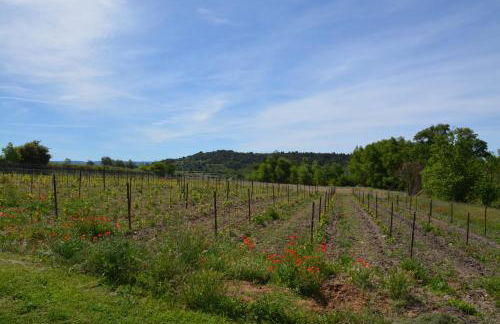 Pavillon Lou - Foto 36