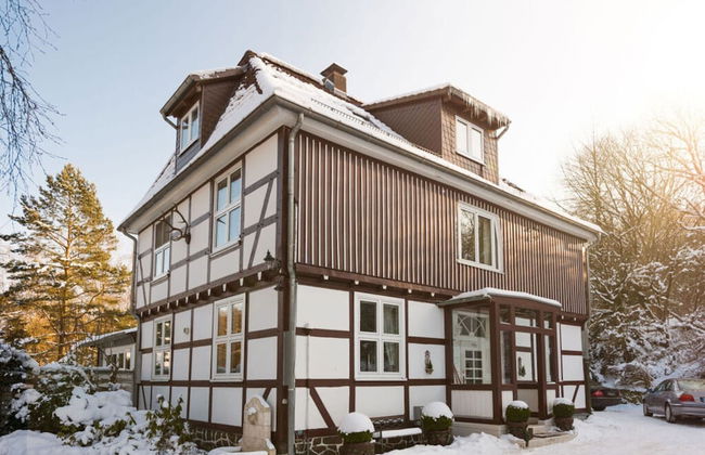 Cosy Apartment in Harz - Foto 12