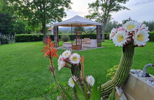 Lo Stucchio - Foto 1