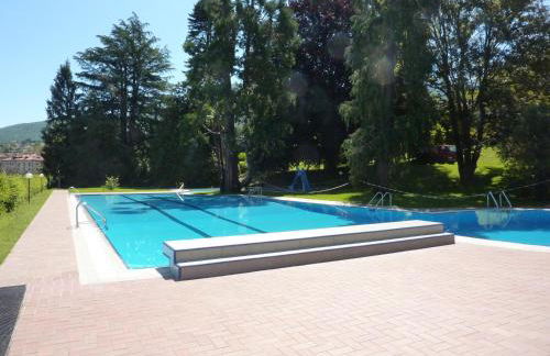 Hermitage mimosa - Photo 22