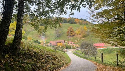 Gite Marie Rose - Foto 3