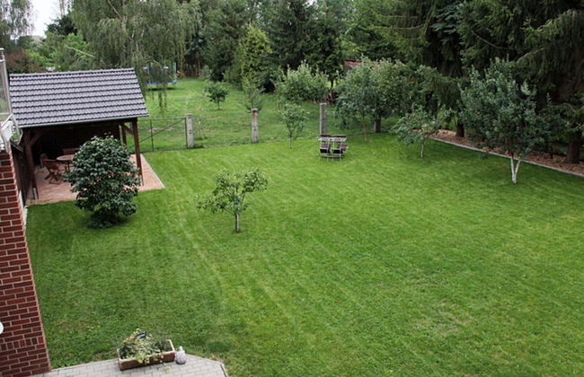 Pear - On the Fruit Tree - Foto 17