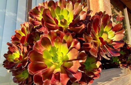 Villa les Alizés - Foto 34