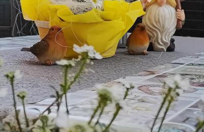 Romy House - Foto 23