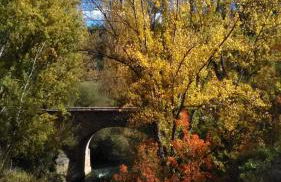 LA MANDUCA - Foto 14