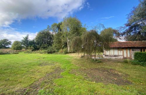 Dairy Farm - Foto 34