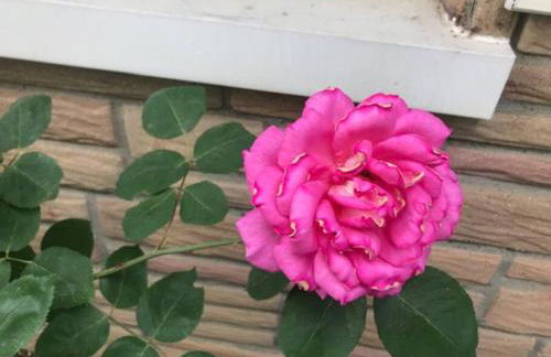 Adorable Buckeye Lake Cottage - Foto 52