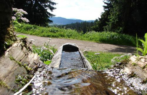 Ferienwohnung Rennsteigblick - Foto 19