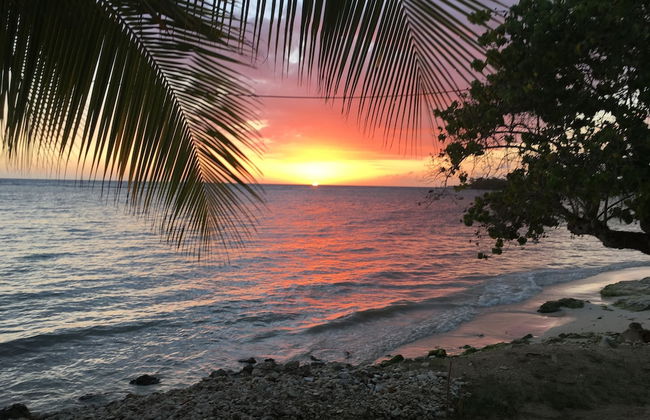 Little Bay Cabins - Foto 29