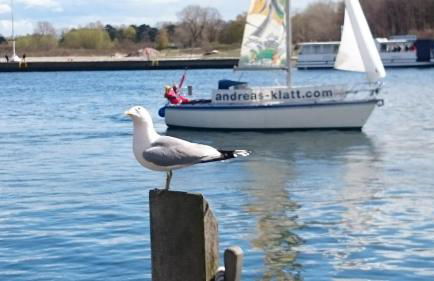 Idyll im Land der 1000 Seen - Foto 46