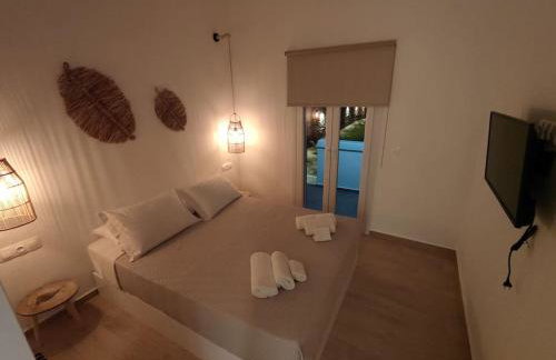 Eolia luxury houses Andros - Foto 36