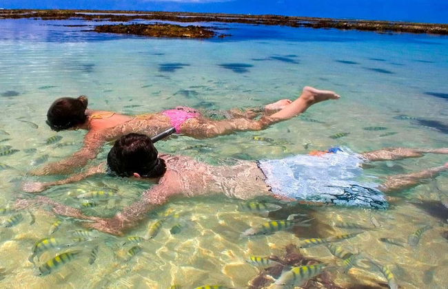 Excursión a Paripueira - Foto 5