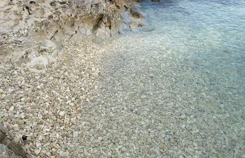 Apartments Ljilja sea view - Photo 19