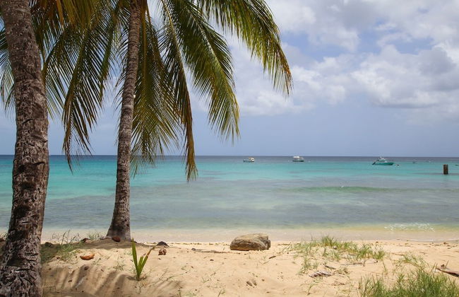 Lantana by Bluescape - Foto 45