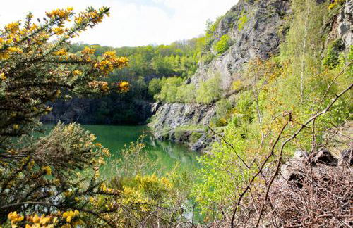 Little Hollows Glamping - Foto 53