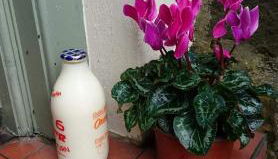 The Haven Cottage - Foto 3