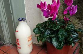 The Haven Cottage - Foto 3