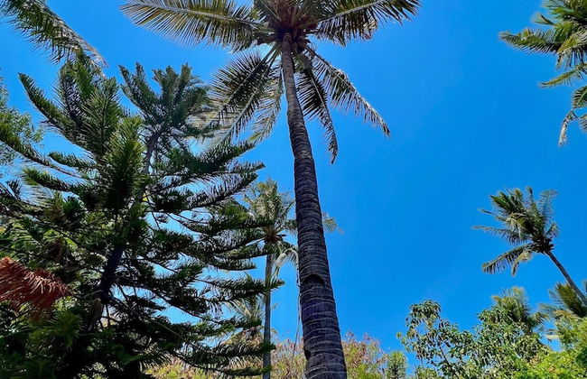 Villa Bulan Madu Gili Air - Photo 36