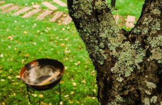 Casa Calma Rural - Foto 45