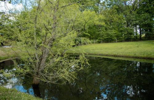 Oak Ridge Oasis - Foto 18