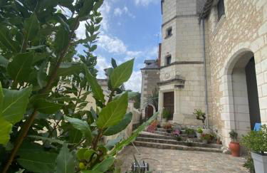 Manoir des Roches 41 - Foto 1