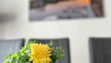 Havel Homes Apartment mit 3 SZ und MagentaTV - Foto 3