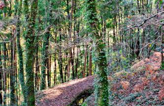 Quinta de Mourães Casa dos Rododendros - Foto 75