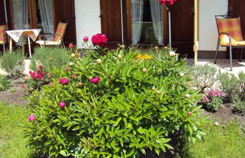 Gästehaus Fischer - Foto 9