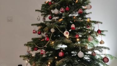 Mas en Provence - Photo 4