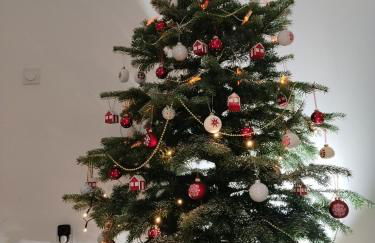 Mas en Provence - Photo 4