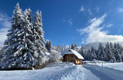 Ferienwohnung am Hirschenmoor - Photo 28