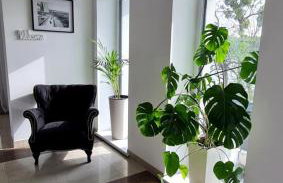 Forest & Lake Mikołajki - Foto 27