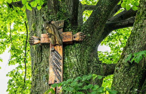 Lipowe Wzgórze Limanowa - Foto 92