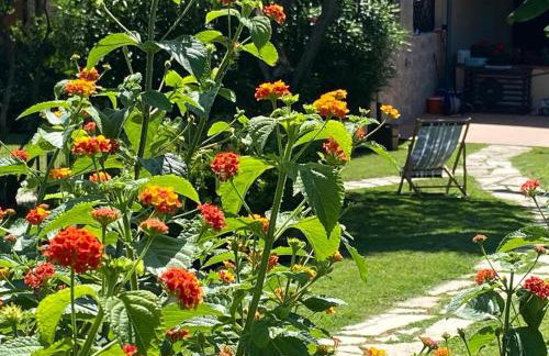 Villetta con giardino sulla Spiaggia della Pelosa - Foto 36
