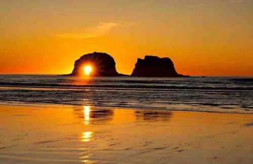 Tiki Escape w/ Amazing Mountain and Marsh Backdrop - Foto 36