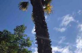 Maison du Saleys - Foto 9