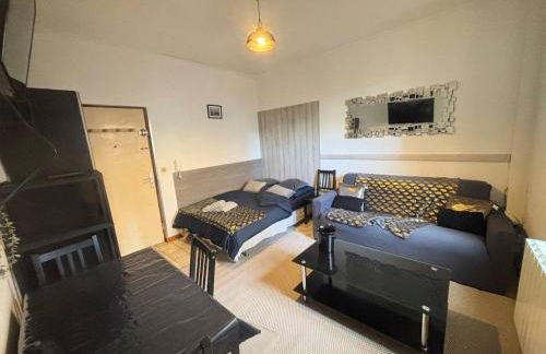 Le Lorrain Wifi Un Séjour à Part - Foto 23